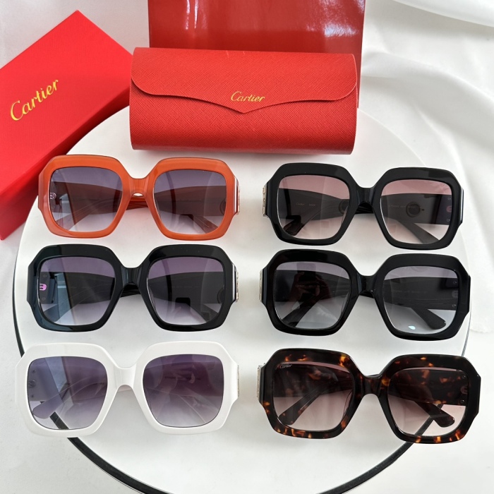 C*artieGlasses Top XX 20240717-9