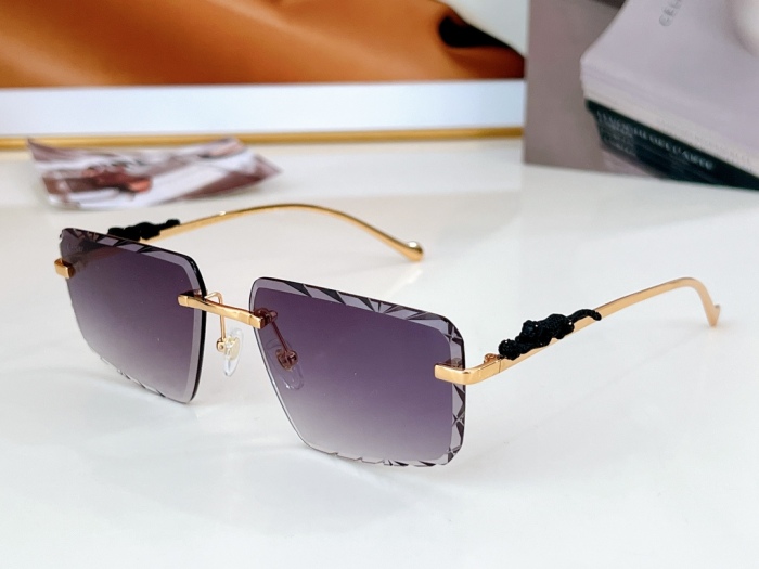 C*artie Glasses Top XX 20240718-63