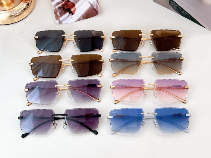 C*artie Glasses Top XX 20240718-63