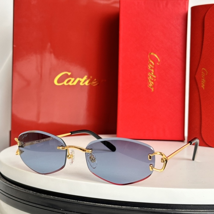 C*artie Glasses Top XX 20240802-20