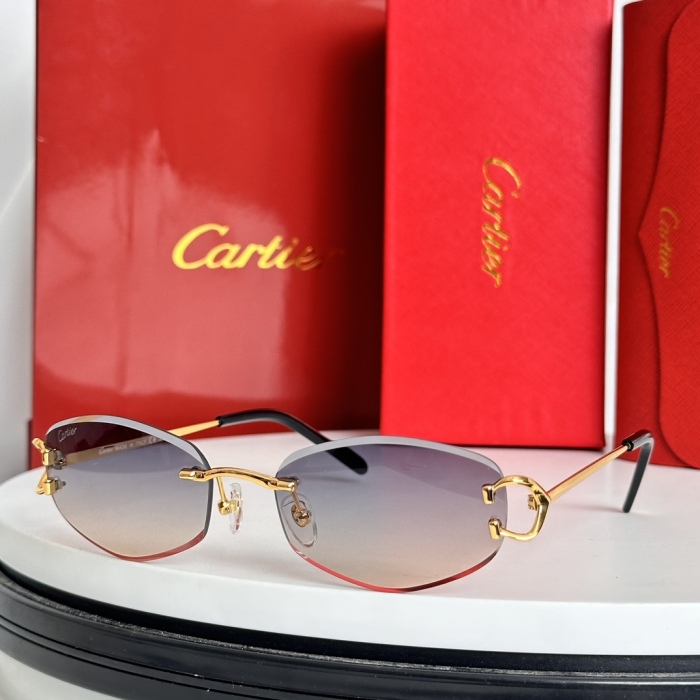 C*artie Glasses Top XX 20240802-20