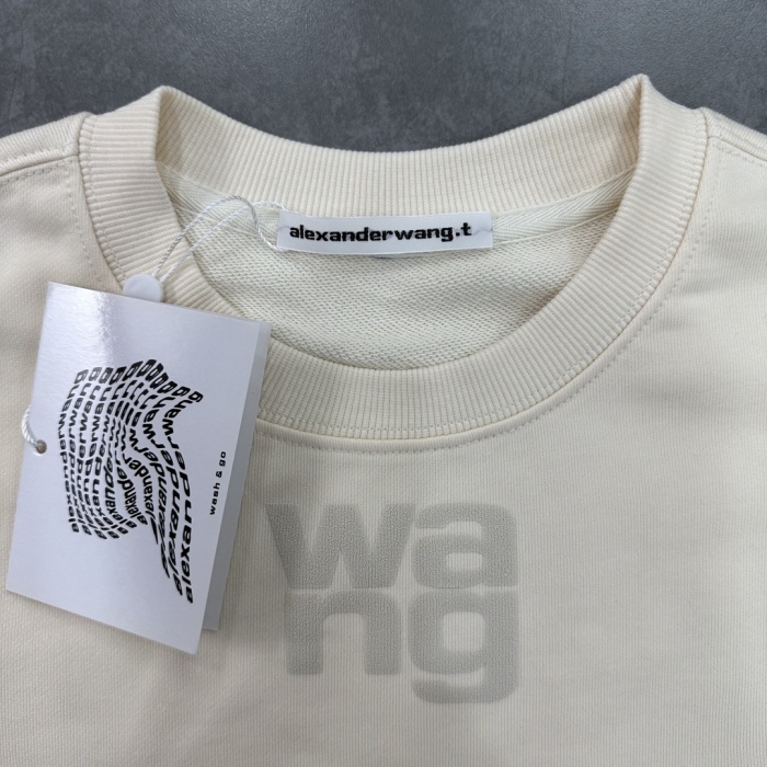 A*lexander W*ang  Hoodie Top Quality D17 20240824-38