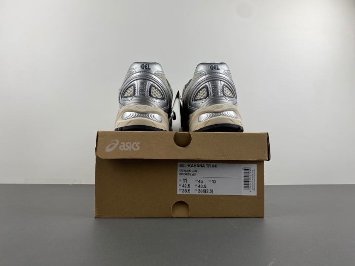 ASICS Gel-Kahana TR V4 Silver White 1203A497-200