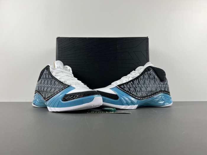 Air Jordan 23 UNC  318376-041
