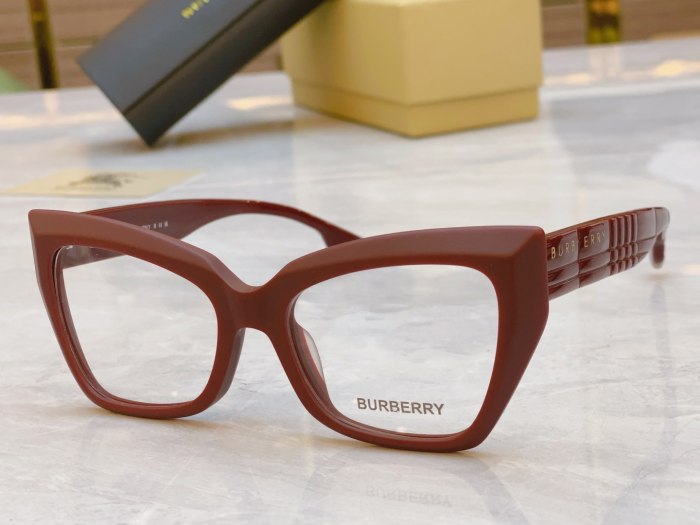 B*urberry  Glasses Top XX 20250113-60