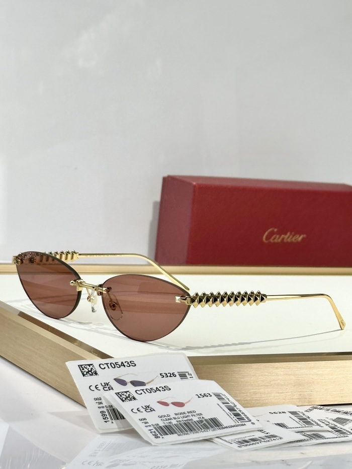 C*artie Glasses Top XX 20250401-10