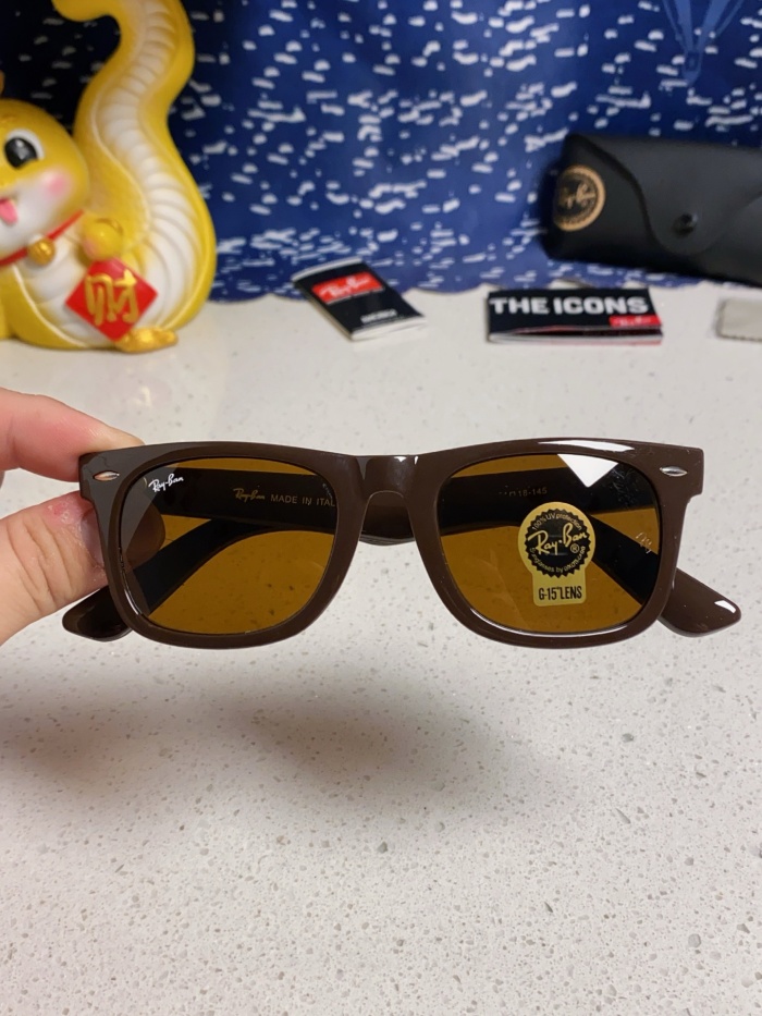 R*ayban Glasses Top XX 20250402-39