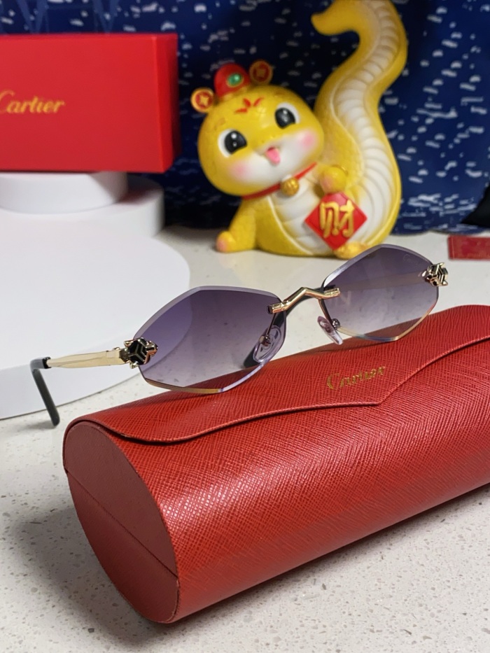 C*artie Glasses Top XX 20250402-38