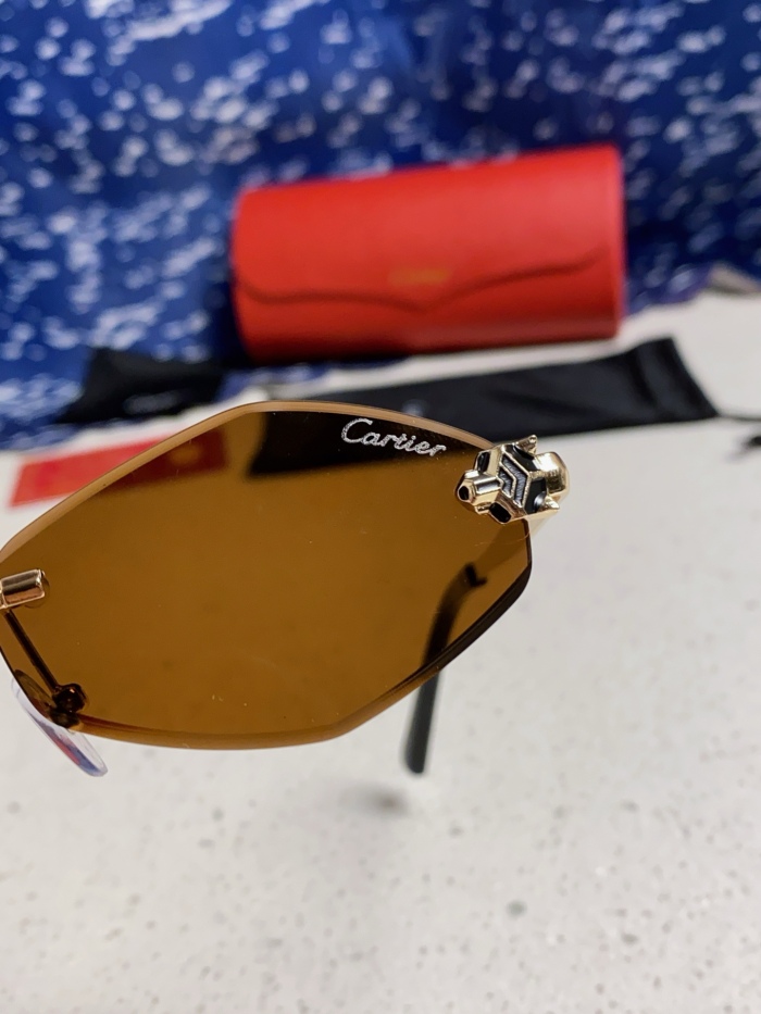 C*artie Glasses Top XX 20250402-38