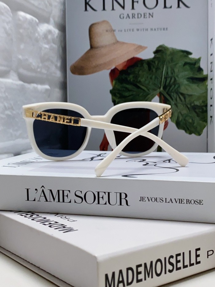 C*hanel Glasses Top XX 20250402-42