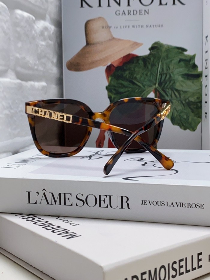 C*hanel Glasses Top XX 20250402-42
