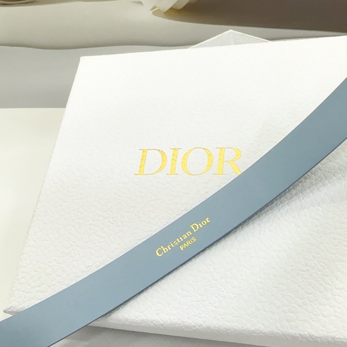 D*ior Top Belts  AT 20250403-7