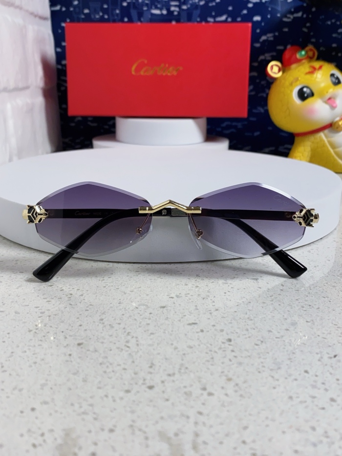 C*artie Glasses Top XX 20250402-38