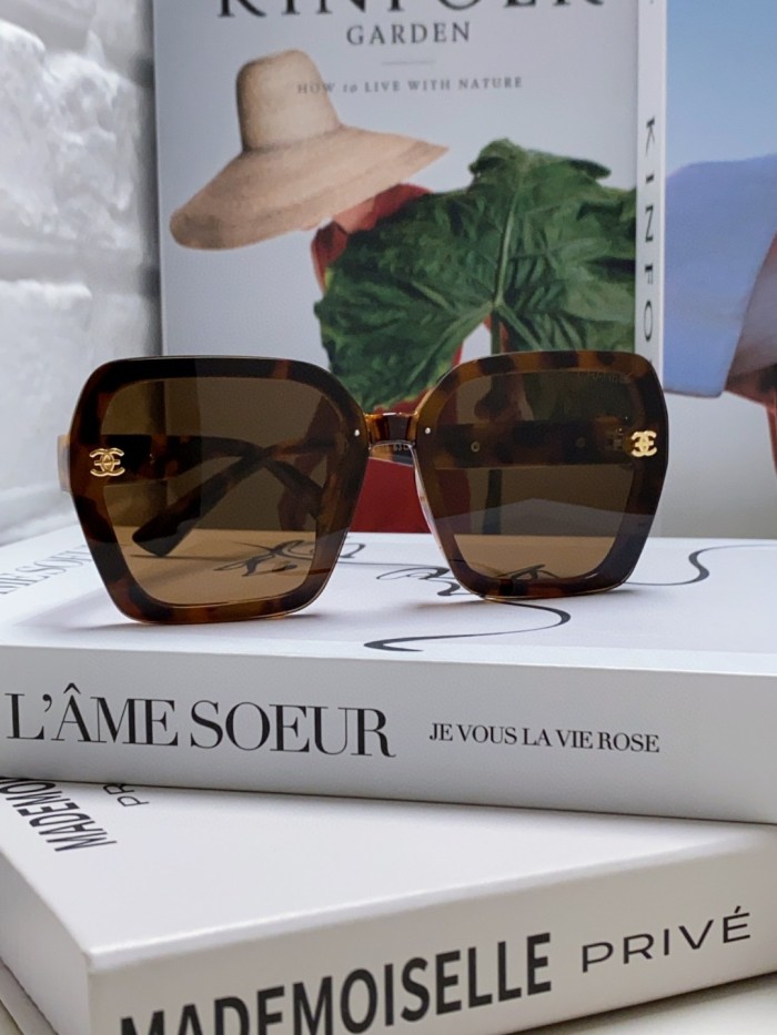 C*hanel Glasses Top XX 20250402-44