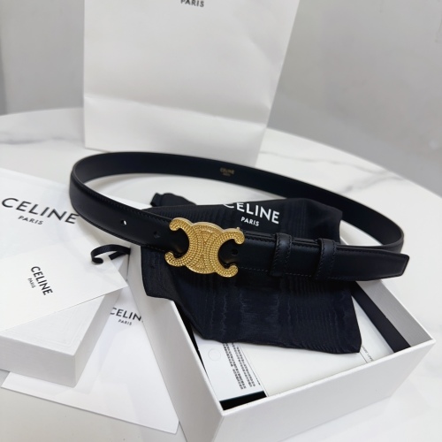 C* eline Top Belts  AT 20250403-70