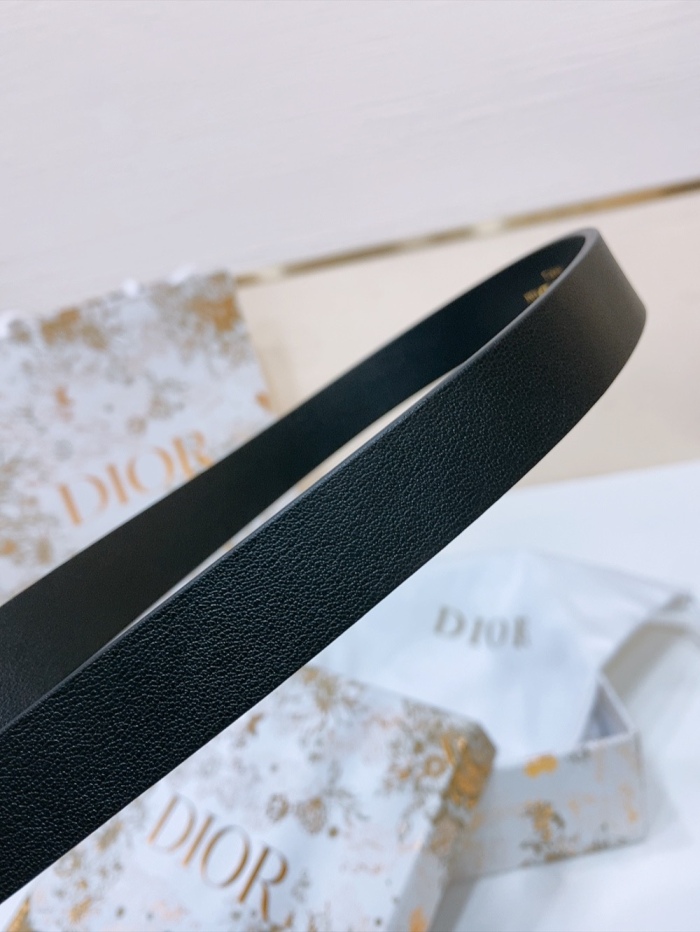 D*ior Top Belts  AT 20250403-71