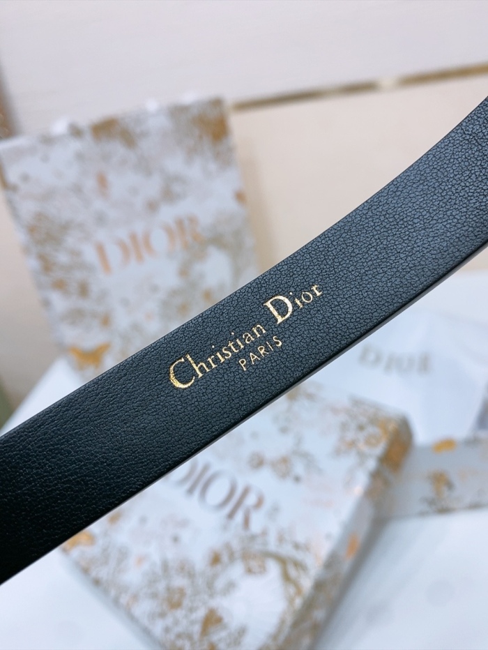 D*ior Top Belts  AT 20250403-71