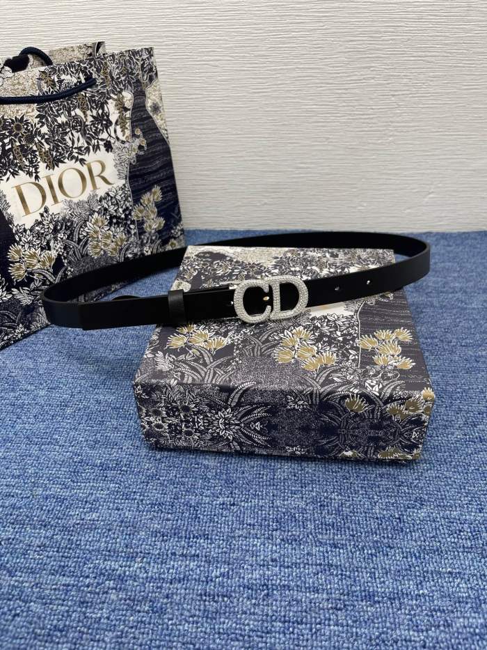 D*ior Top Belts  AT 20250405-48