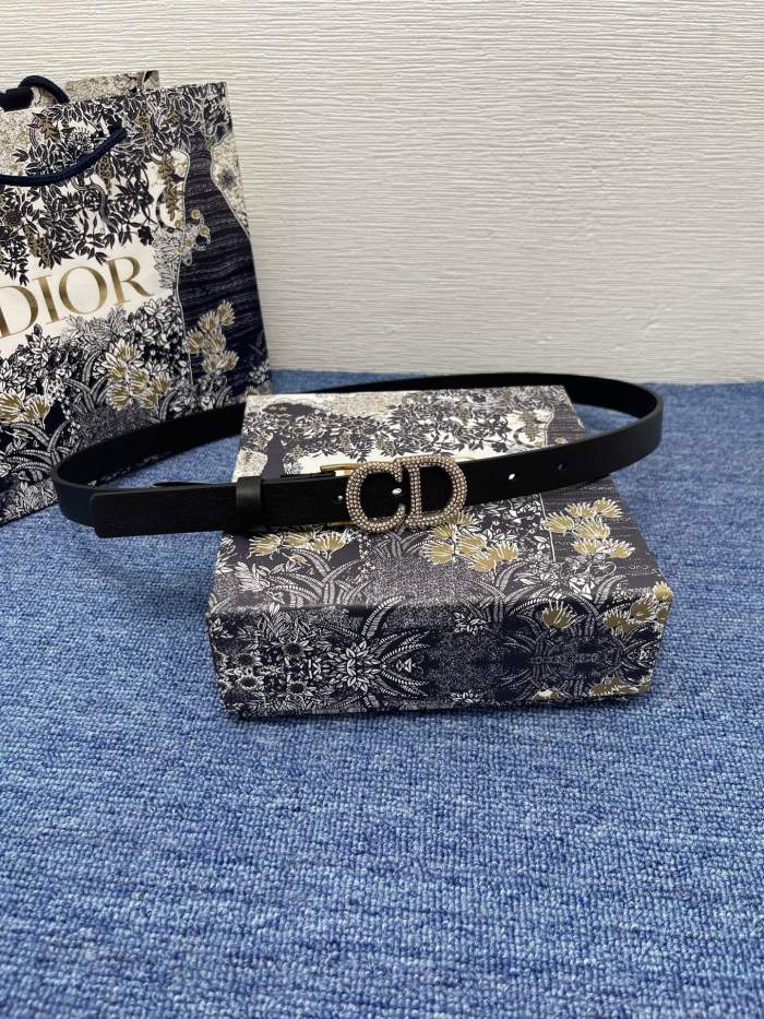 D*ior Top Belts  AT 20250405-48