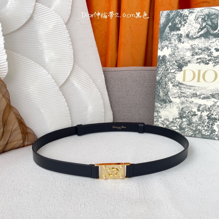 D*ior Top Belts  AT 20250407-79