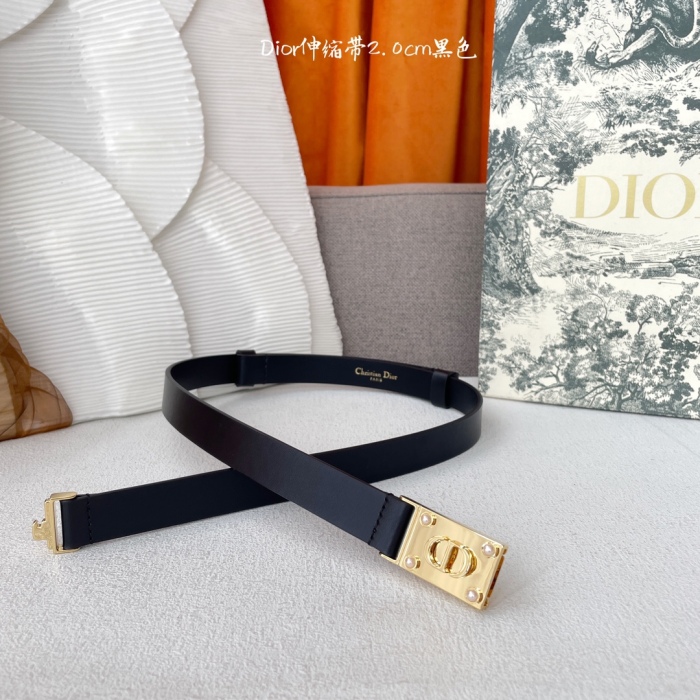 D*ior Top Belts  AT 20250407-79