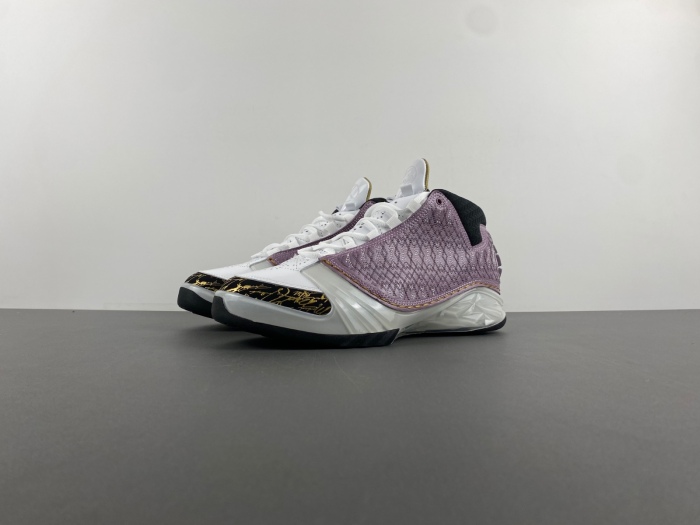 Air Jordan 23 White Stealth 318376-102