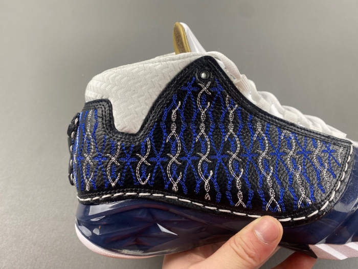 Air Jordan 23 Motorsports / Wizards 318376-011