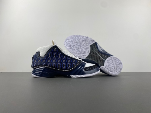 Air Jordan 23 Motorsports / Wizards 318376-011