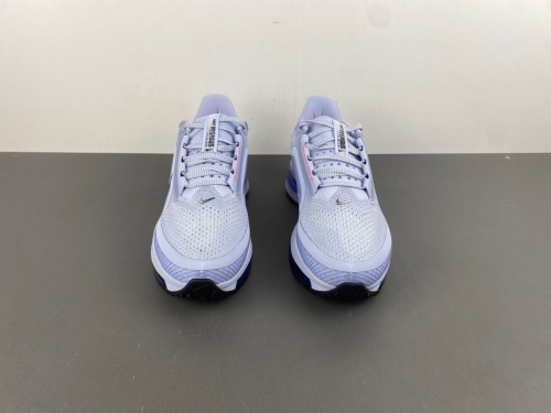 Air Zoom Pegasus Premium Persian Violet  HQ2592-004