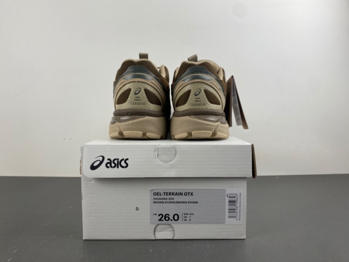 ASICS Gel-Terrain Gore-Tex nonnative 1203A584-200
