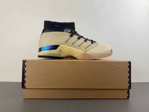 Air Jordan 17 Retro Low SP Infinite Archives IH0177-200