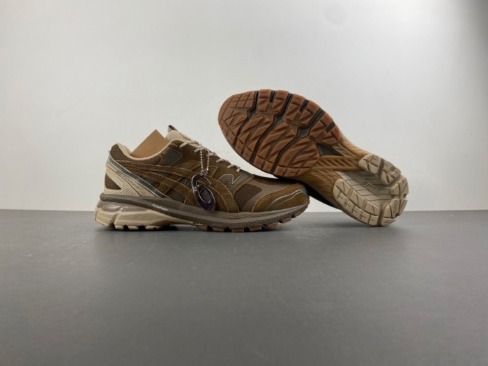 ASICS Gel-Terrain Gore-Tex nonnative 1203A584-200