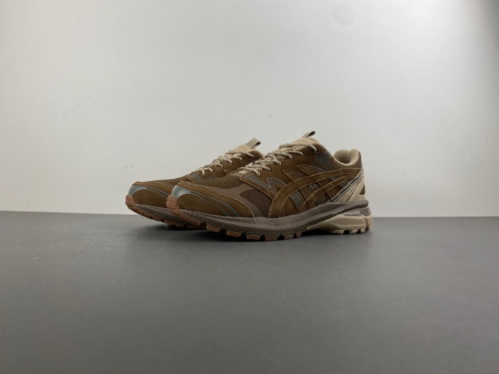 ASICS Gel-Terrain Gore-Tex nonnative 1203A584-200