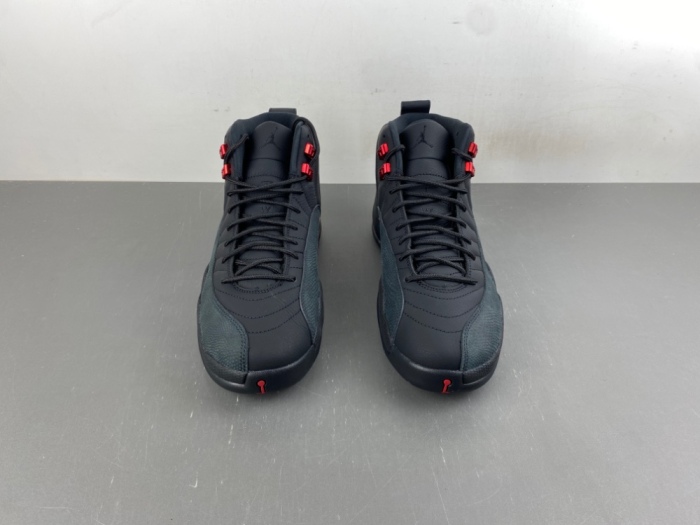 Air Jordan 12 Retro Bloodline  CT8013-003