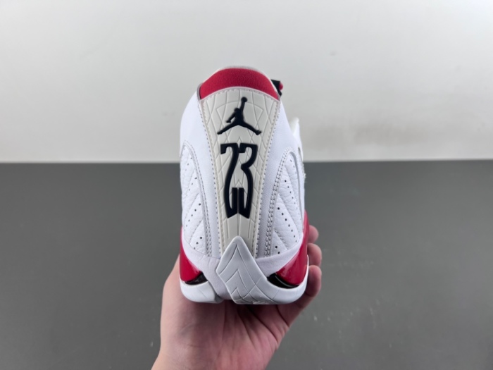 Air Jordan 14 Retro Rip Hamilton  487471-100