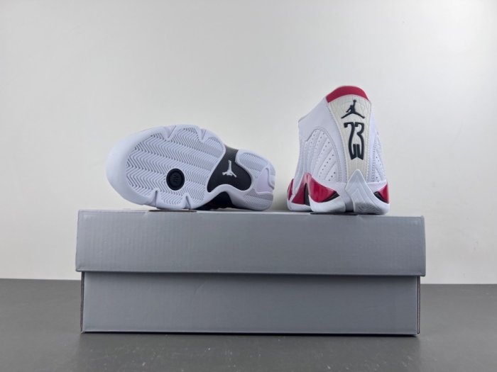 Air Jordan 14 Retro Rip Hamilton  487471-100