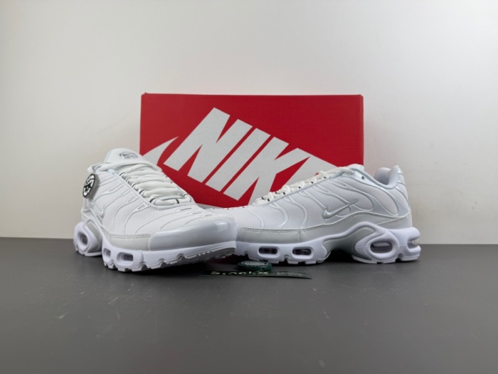 Air Max Plus White Pure Platinum  DM2362-100