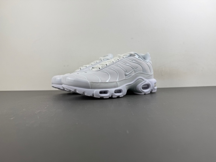 Air Max Plus White Pure Platinum  DM2362-100