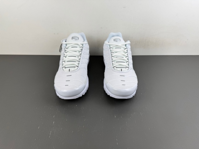 Air Max Plus White Pure Platinum  DM2362-100