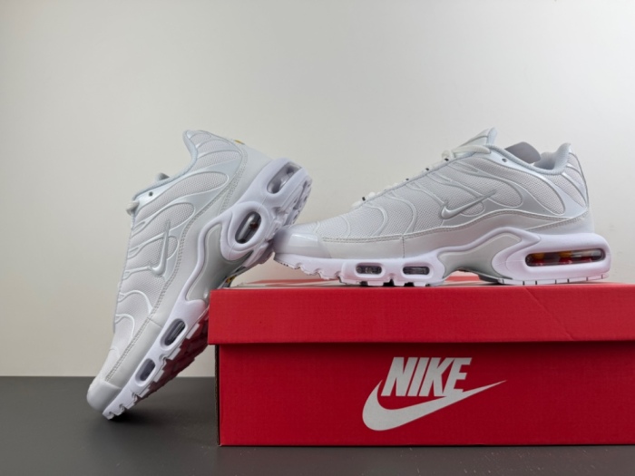 Air Max Plus White Pure Platinum  DM2362-100