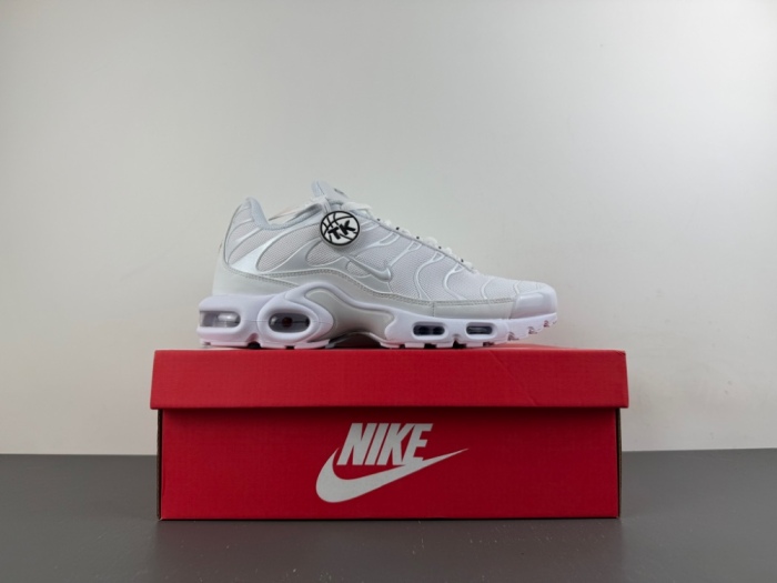 Air Max Plus White Pure Platinum  DM2362-100