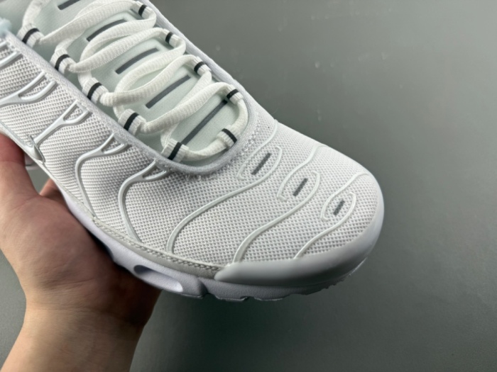 Air Max Plus White Pure Platinum  DM2362-100