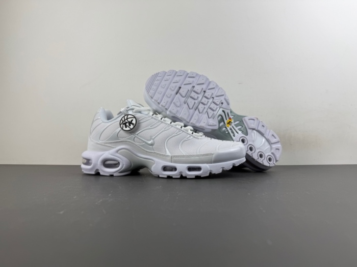 Air Max Plus White Pure Platinum  DM2362-100