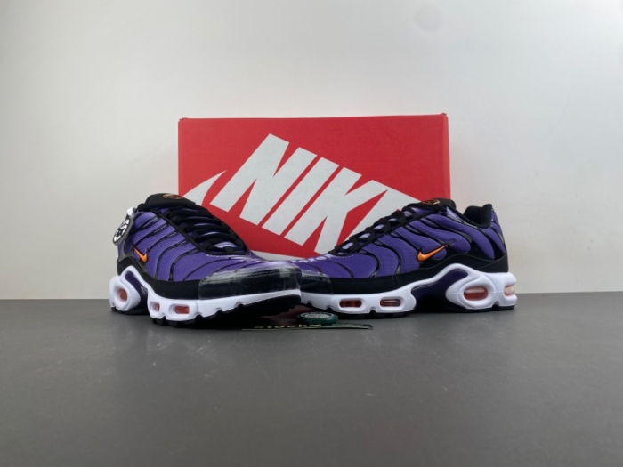 Air Max Plus OG Voltage Purple DX0755-500