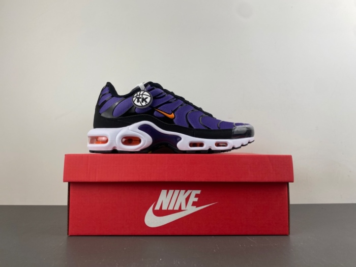 Air Max Plus OG Voltage Purple DX0755-500