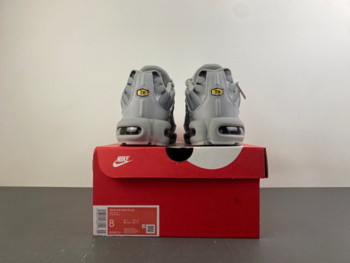 Air Max Plus Wolf Grey 852630-021