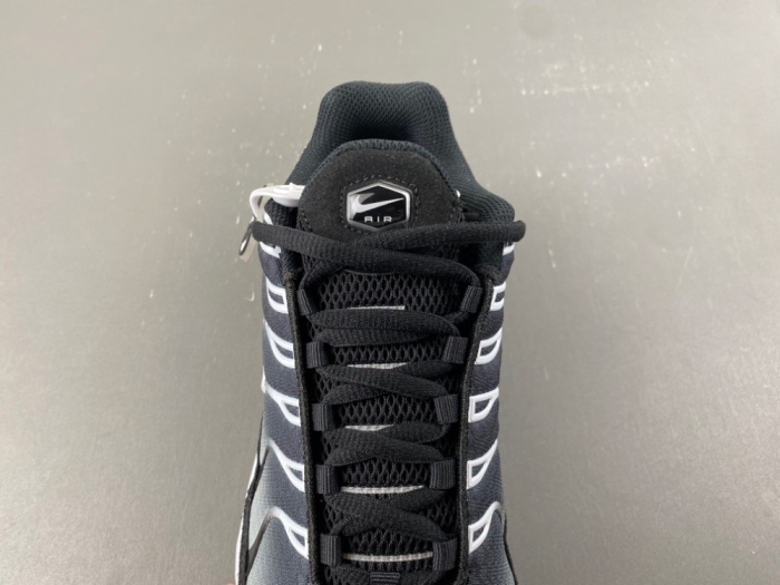 Air Max Plus Black Silver White DM0032-003