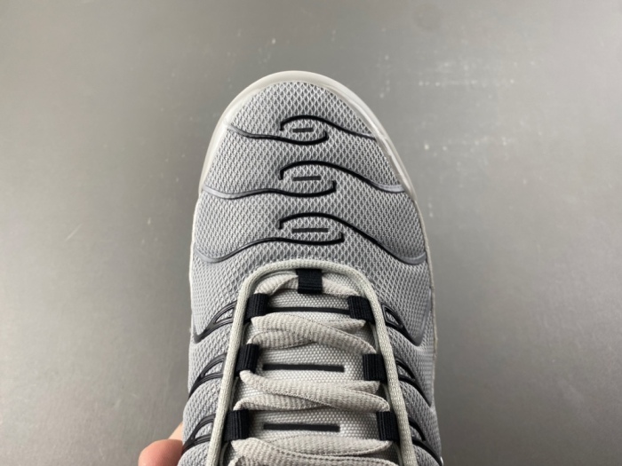 Air Max Plus Wolf Grey 852630-021