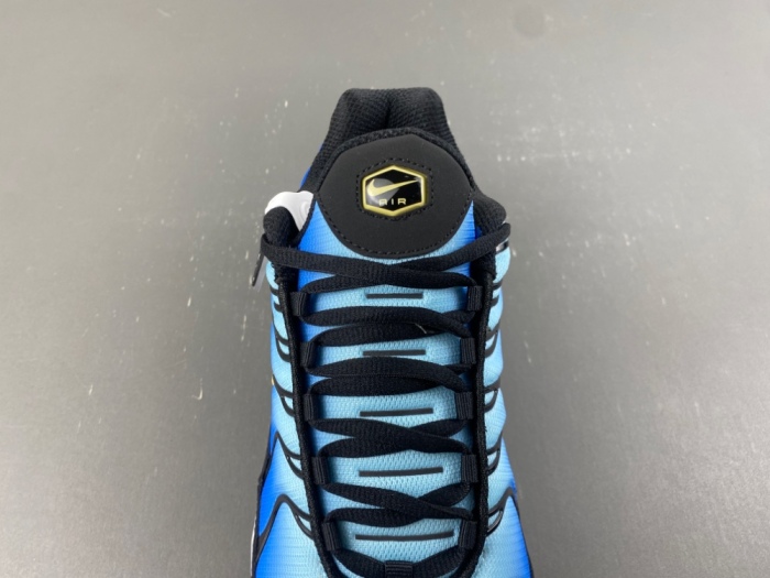 Air Max Plus OG Hyper Blue DX0755-001