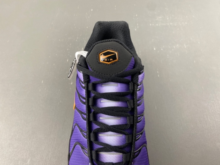 Air Max Plus OG Voltage Purple DX0755-500